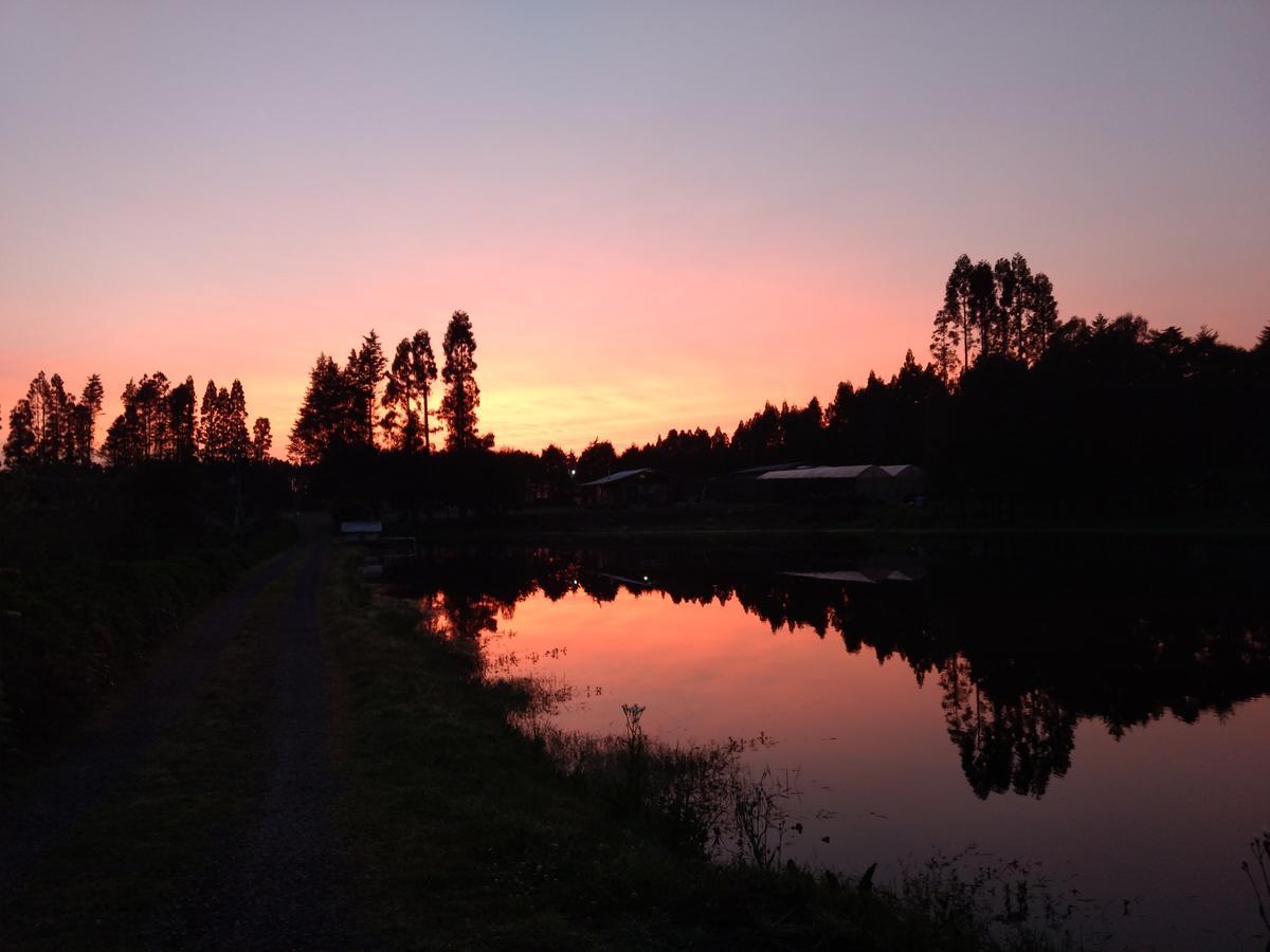 Pousada Recanto Do Lago Cambará Exterior foto